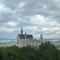 a gray castle appearing over a dark green forest